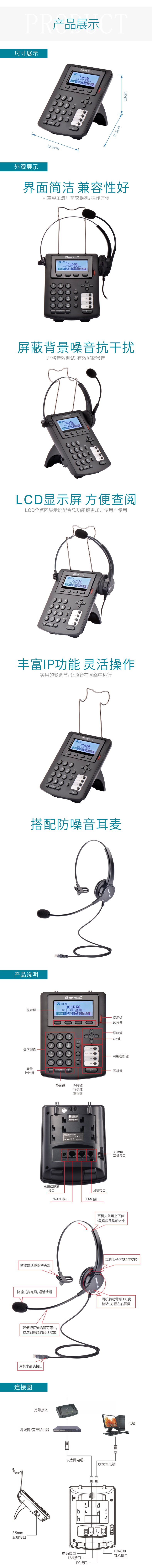 hions320p02.jpg